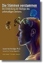 Die Stimmen verstummen Titelbild